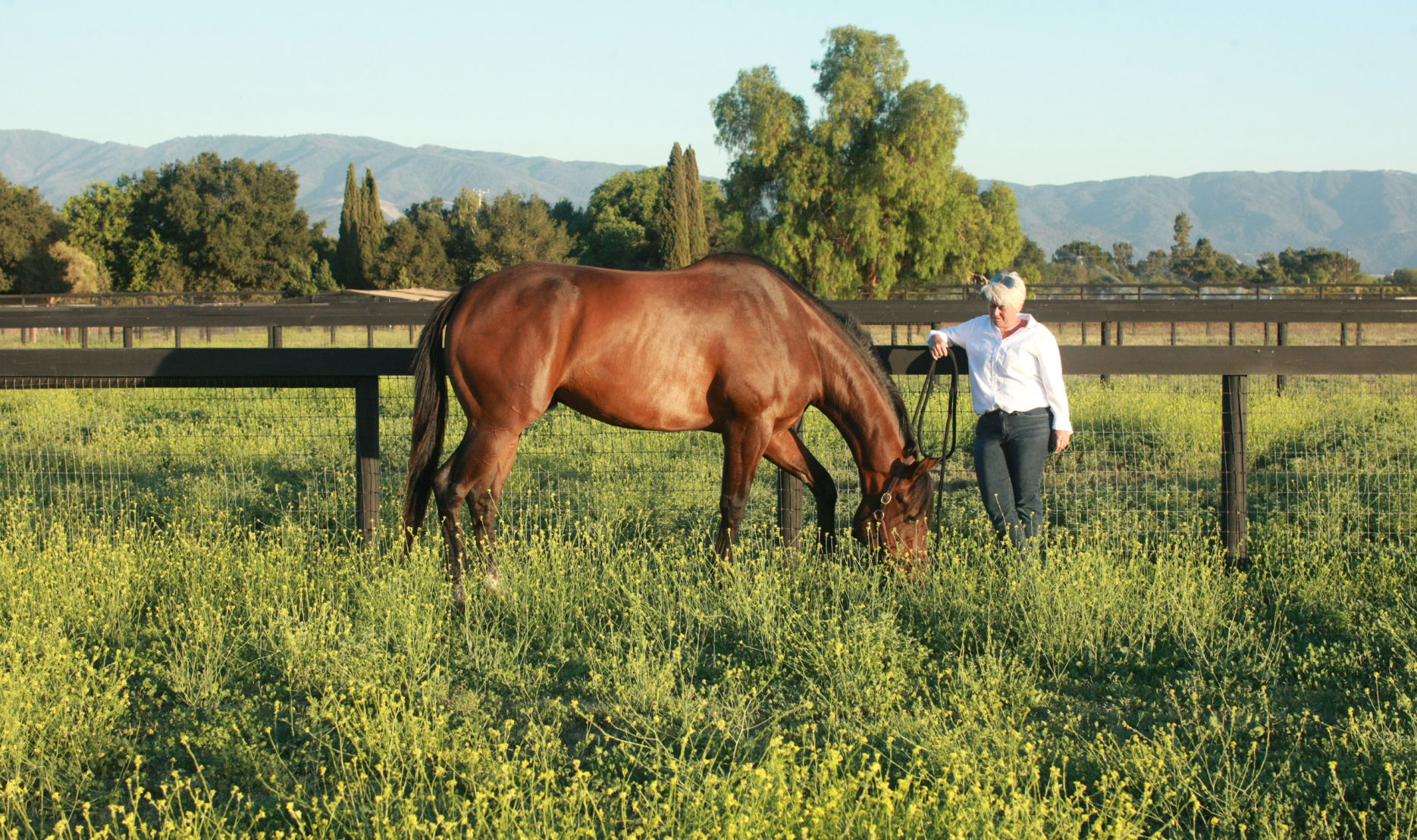 071521 Fairfield Farm 3.jpg